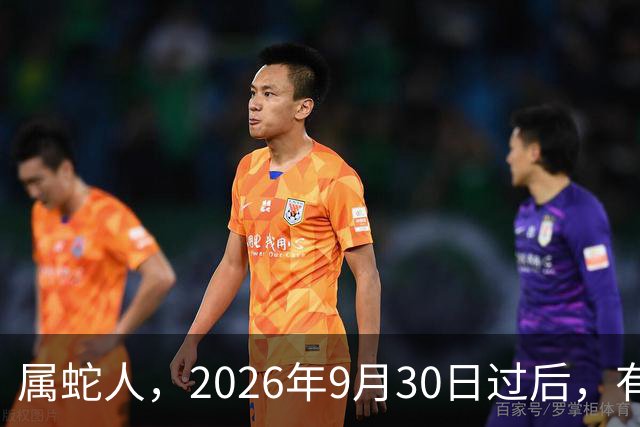 属蛇人，2026年9月30日过后，有2人来“求”你，是一份特殊的礼物