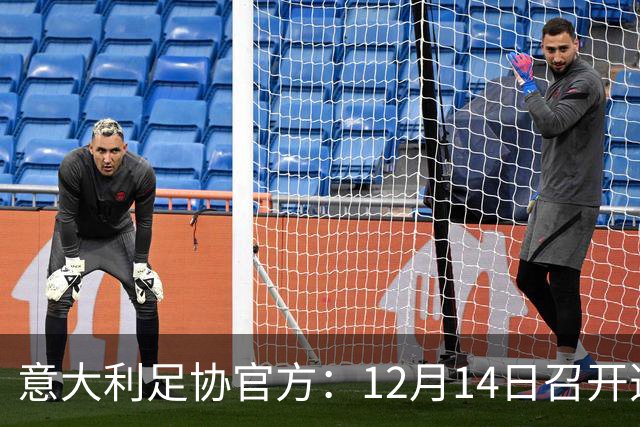 意大利足协官方：12月14日召开选举大会，会上将选出足协主席